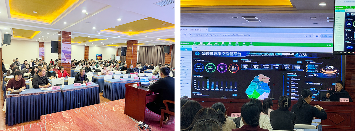 1764566571002.png 01.png